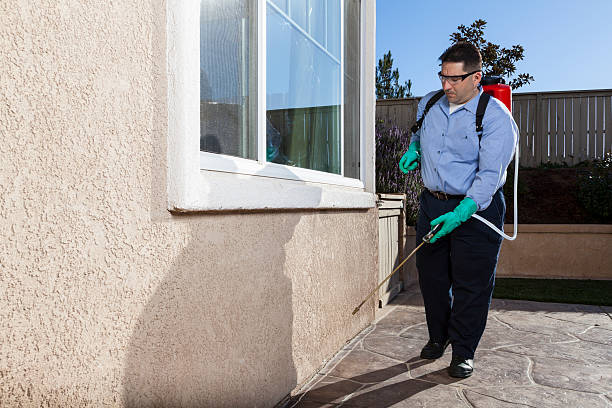 Best Emergency Pest Control  in Walnut, CA